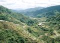 rizieres luzon.jpg